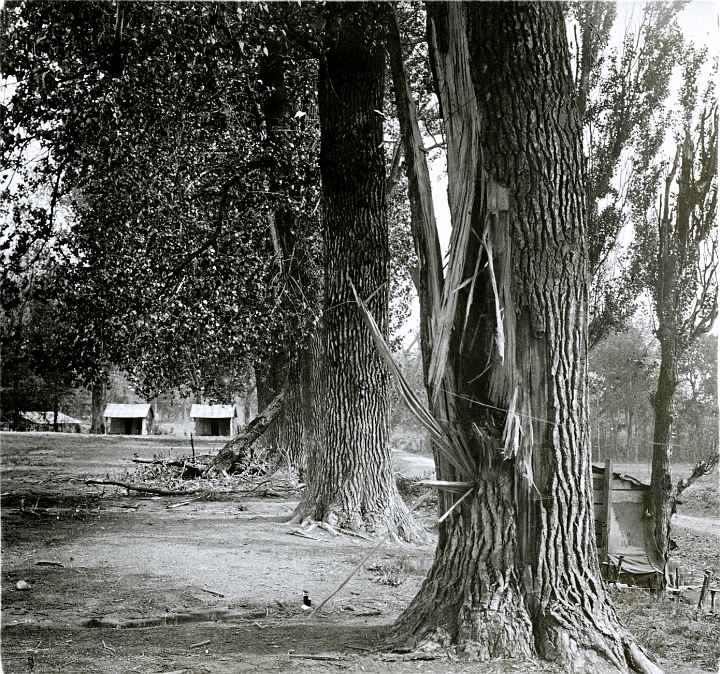 Box 01 Image 17.jpg
